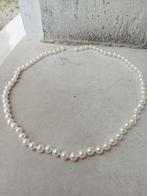 Filo 70 Perle Akoya 6,5mm Alta Kwaliteit - Halsketting -, Nieuw