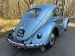 Volkswagen - Kever (Beetle) 1200 Oval - 1955