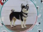 Naaldviltpakket-Husky met gratis viltnaaldhouder!