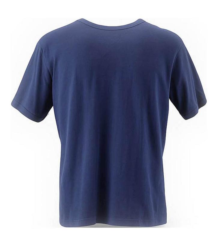 Icebreaker T-shirt in maat XL Blauw, Kleding | Heren, T-shirts, Blauw, Zo goed als nieuw, Verzenden