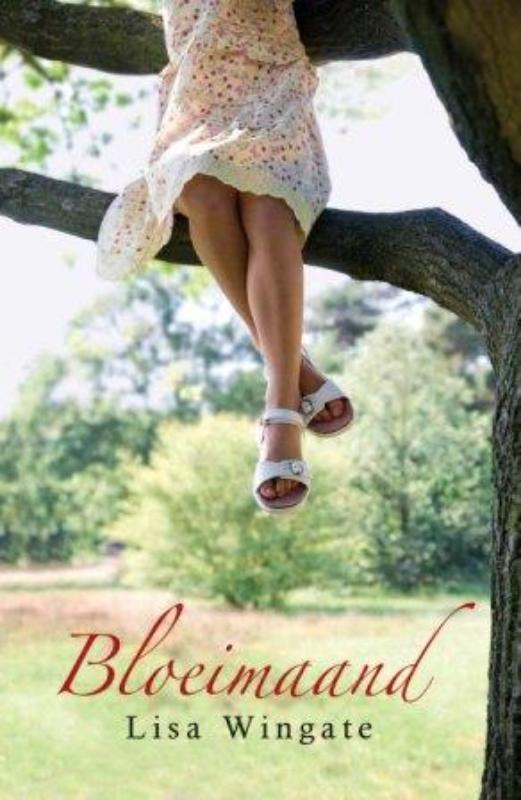 Bloeimaand / Blue Sky Hill / 1 9789029719445 Lisa Wingate, Boeken, Romans, Gelezen, Verzenden