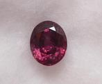 Rood Robijn - 1.12 ct - Lotus Gemology, Nieuw