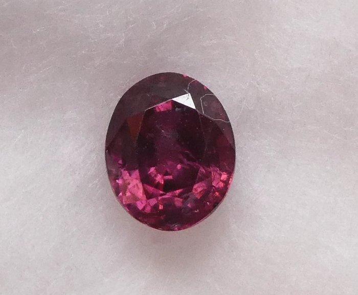 Rood Robijn - 1.12 ct - Lotus Gemology, Sieraden, Tassen en Uiterlijk, Edelstenen