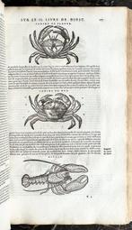 Matthiole - Commentaires - 1572, Antiek en Kunst