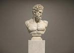 sculptuur, Busto di Ercole in marmo - 68 cm - Marmer