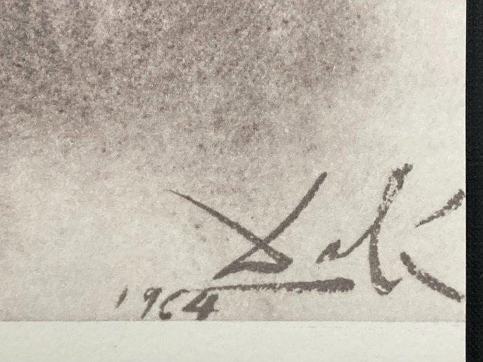 Salvador Dali (1904-1989) - Antequam Exires de Vulva, Antiek en Kunst, Antiek | Overige Antiek