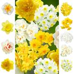 Bloembollens -47 x Narcissen  Collection  Rainbow pakket -, Verzenden, Voorjaar, Volle zon, Bloembol