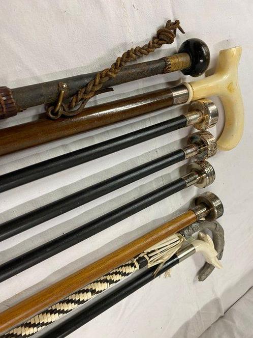 Wandelstok (8) - Hout, Antiek en Kunst, Curiosa en Brocante