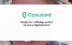dick zoekt een oppas in Haarlem voor 2 kinderen op woensdag.