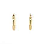 Gladde oorringen 9 kt, Ophalen of Verzenden, Nieuw