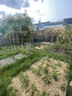 Te huur: Huis Lieshoutseweg in Sint-Oedenrode, Sint-Oedenrode, Noord-Brabant