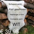 Schapenvacht XXL WIT KORT GESCHOREN Haarlengte 2-3cm € 39,95