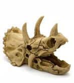 Prehistorische schedel / aquarium decoratie  18 cm As-218, Dieren en Toebehoren, Vissen | Aquaria en Toebehoren, Verzenden, Nieuw