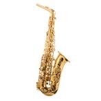 Trevor James The Horn alt sax goudlak, Ophalen of Verzenden, Nieuw, Alt, Met koffer