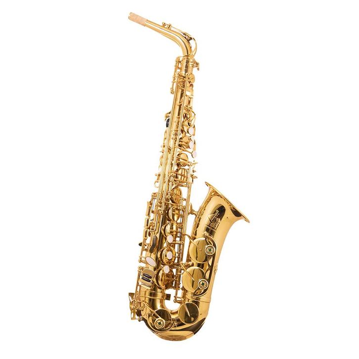 Trevor James The Horn alt sax goudlak, Muziek en Instrumenten, Blaasinstrumenten | Saxofoons, Met koffer, Nieuw, Alt, Ophalen of Verzenden
