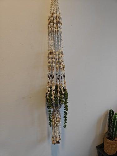 Schelpengordijn schelpenhanger gordon gandon geboorde, Hobby en Vrije tijd, Knutselen, Nieuw, Ophalen of Verzenden