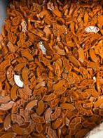 Lego Stenen - Lego 2x2 macaroni hout print 250 stuks, Nieuw