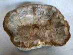 Waskom - versteend hout - wasbak, Nieuw