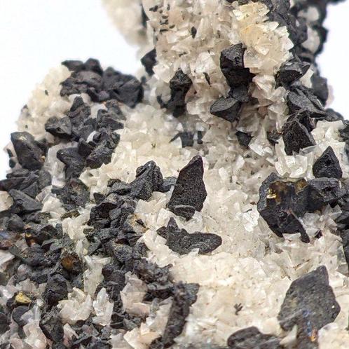 ZWARTE TETRAHEDRIET op WITTE DOLOMIET, Cavnic Kristallen op, Verzamelen, Mineralen en Fossielen