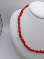 Bloedkoraal Koraal - Corallium rubrum (Zonder Minimumprijs), Antiek en Kunst