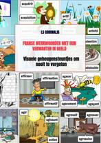 9789464353747 Franse werkwoorden met hun verwanten in beeld, Boeken, Nieuw, Ls Coronalis, Verzenden