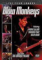 dvd muziek - The Blow Monkeys - Live From London, Cd's en Dvd's, Verzenden, Nieuw in verpakking