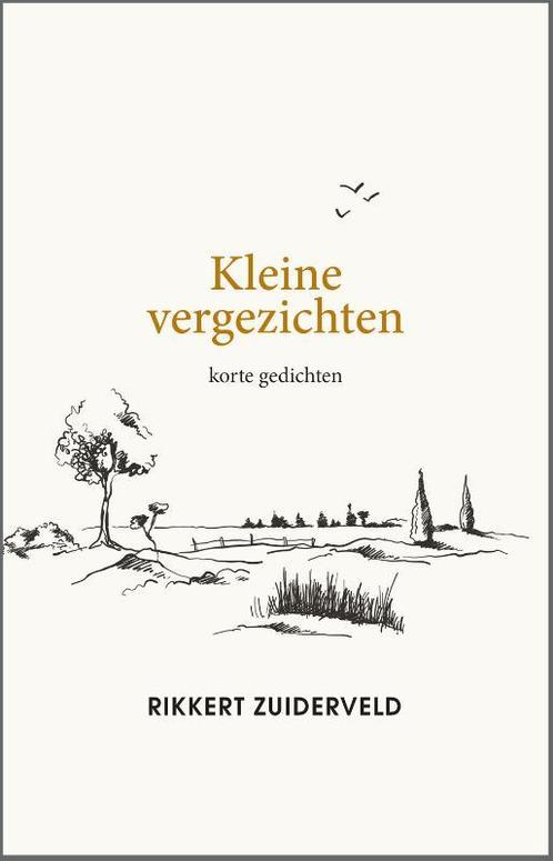Kleine vergezichten 9789033802577 Rikkert Zuiderveld, Boeken, Godsdienst en Theologie, Gelezen, Verzenden