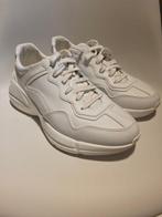 Gucci - Rython - Low-top sneakers - Maat: EU 42, Nieuw