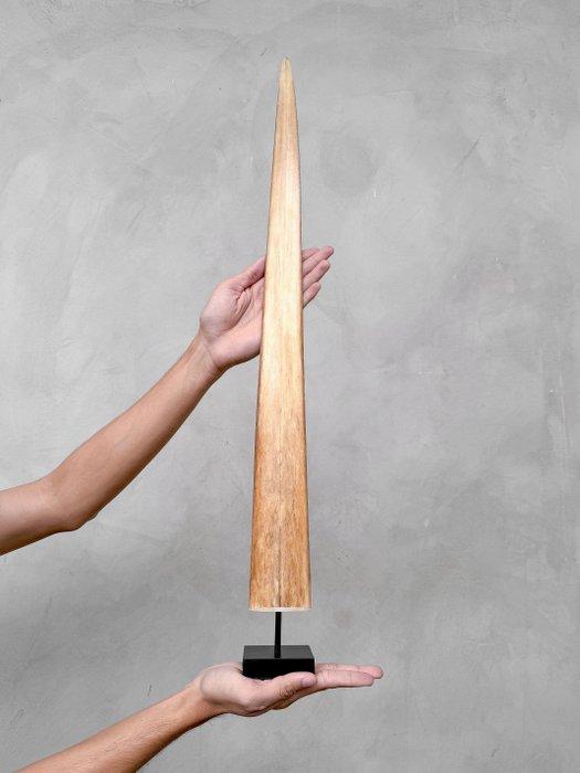 Geen reserveprijs - Indrukwekkende grote zwaardvisrostrum, Antiek en Kunst, Kunst | Designobjecten