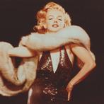 Richard Avedon - Marilyn Monroe NYC 1957, Verzamelen
