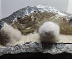 Geoden van Okenite met Girolite, Poona, India Geode -, Verzamelen
