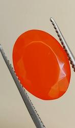 Vuuropaal - 5.70 ct - Antwerp Laboratory for Gemstone, Sieraden, Tassen en Uiterlijk, Nieuw