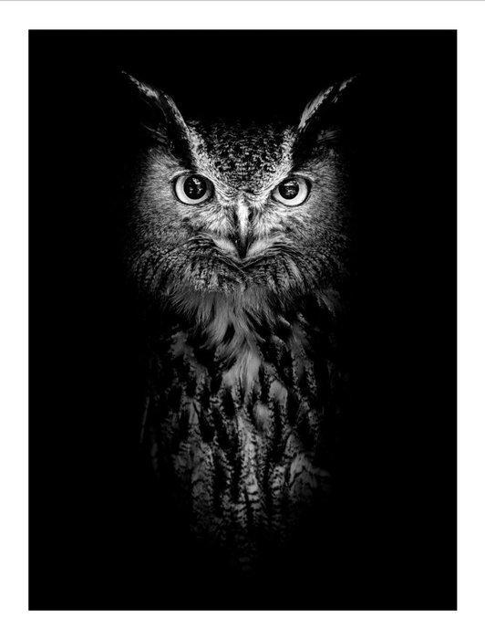 Jeffrey Van Daele - Sentinel of Wisdom, Antiek en Kunst, Kunst | Designobjecten