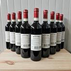 2022 Nipozzano Riserva Rufina, Frescobaldi - Chianti, Nieuw