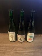 Cantillon - Vigneronne 2024, Rosé de Gambrinus 2025 & Nath, Nieuw