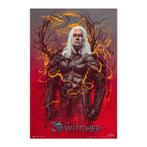 Poster The Witcher 2 Geralt Of Rivia 61x91,5cm, Verzenden, Nieuw, A1 t/m A3