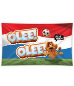 Loeki De Leeuw Gevelvlag 1.5m, Verzenden, Nieuw