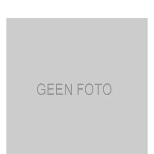 Remslang DS DS 1.6 BlueHDi 100 achterzijde, rechts, Auto-onderdelen, Overige Auto-onderdelen, Nieuw, Verzenden