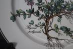 Villeroy & Boch - Botanica - Ontbijtbord (8) - Botanica -