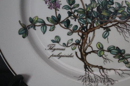 Villeroy & Boch - Botanica - Ontbijtbord (8) - Botanica -, Antiek en Kunst, Antiek | Meubels | Tafels
