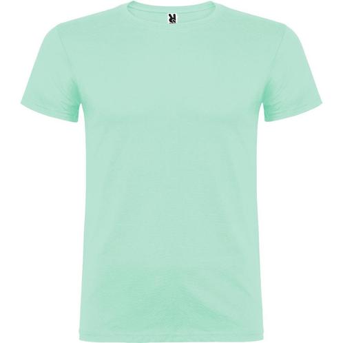 T-shirt Beagle Mint Groen, Kleding | Heren, T-shirts, Overige kleuren, Nieuw, Overige maten