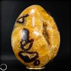 Zeer decoratief natuurlijke septarium Ei- 2294.38 g, Verzamelen, Mineralen en Fossielen