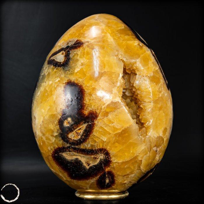 Zeer decoratief natuurlijke septarium Ei- 2294.38 g, Verzamelen, Mineralen en Fossielen