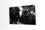Rouzbeh Tahmassian - In darkness - XL, Antiek en Kunst