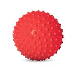 Edushape The Original Sensorische B van €17,99 voor €14,39, Ophalen of Verzenden, Nieuw