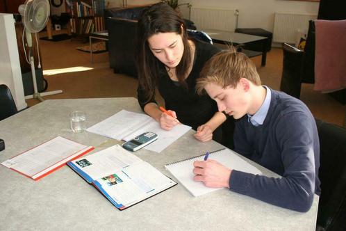 Bijles Basisschool | Kies en boek zelf een bijlesdocent!, Diensten en Vakmensen, Bijles, Privé-les en Taalles, Bijles, Huiswerkbegeleiding