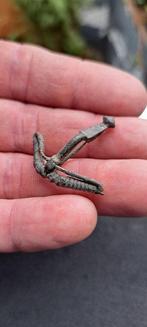 Oud Keltisch/Romeins Brons Fibula (Zonder Minimumprijs), Antiek en Kunst