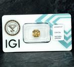 Zirkoon - 3.64 ct - International Gemological Institute, Nieuw
