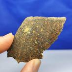 6,7 cm, -Honderden chondrules!- Verbazingwekkende TYPE LL3