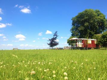 ** Natuurhuisje Veluwe ** Vakantie Woning Boerderij huisje beschikbaar voor biedingen
